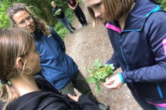image22