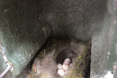 image27-rotated